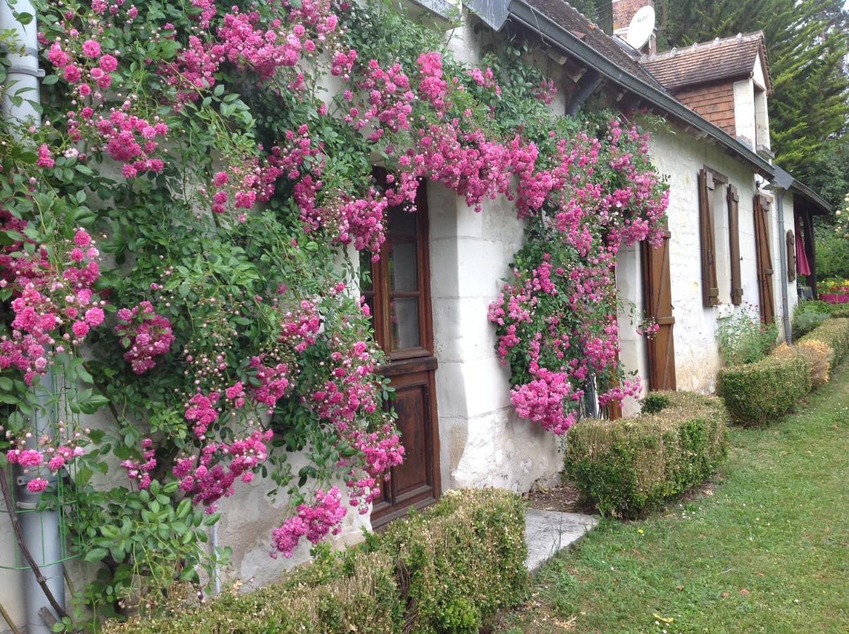 Gite O Beauval แซ็ง-เตญ็อง ภายนอก รูปภาพ
